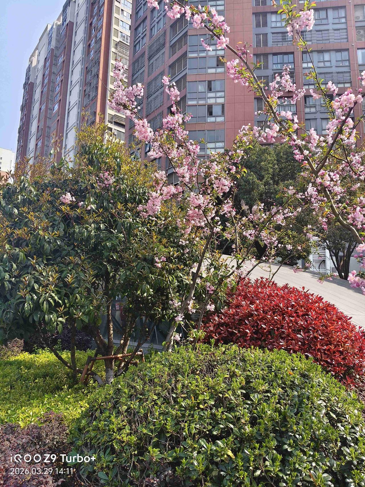 我的今日状态：😁轻松愉快
我这里的天气：☀️晴天