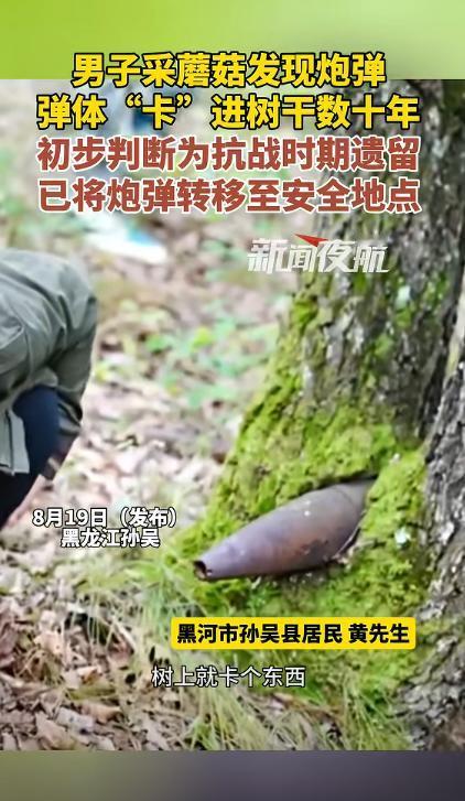 “太吓人了！”近日，黑龙江黑河，一男子上山采蘑菇时，看到树上卡了个东西，他好奇的