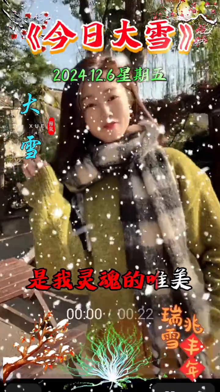 瑞雪。
《今日大雪》，2024.12.6星期五。冬天的梅在寒风里孕育花蕾，冷艳的