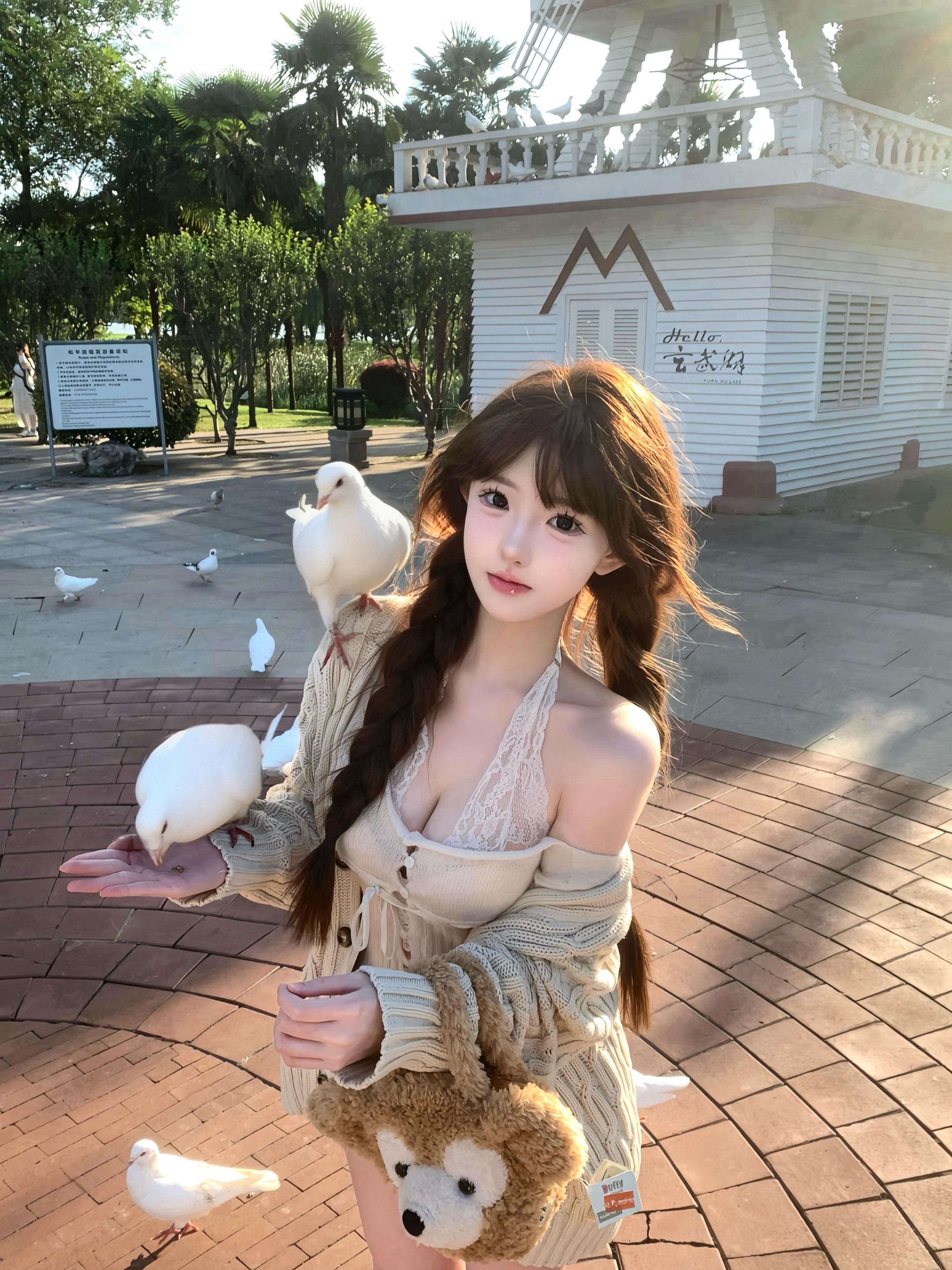 鸽子你放心飞 这次我不会再追