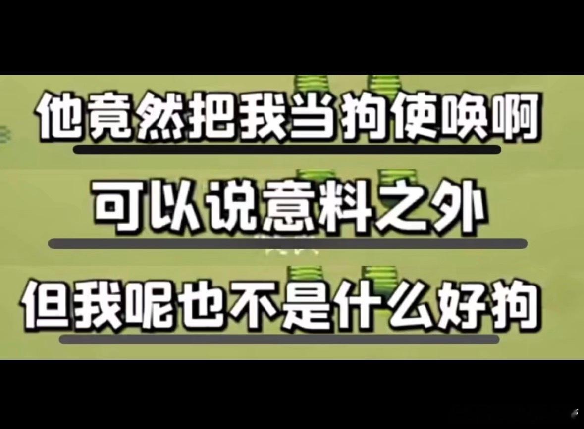 我最喜欢的主人和狗belike： 