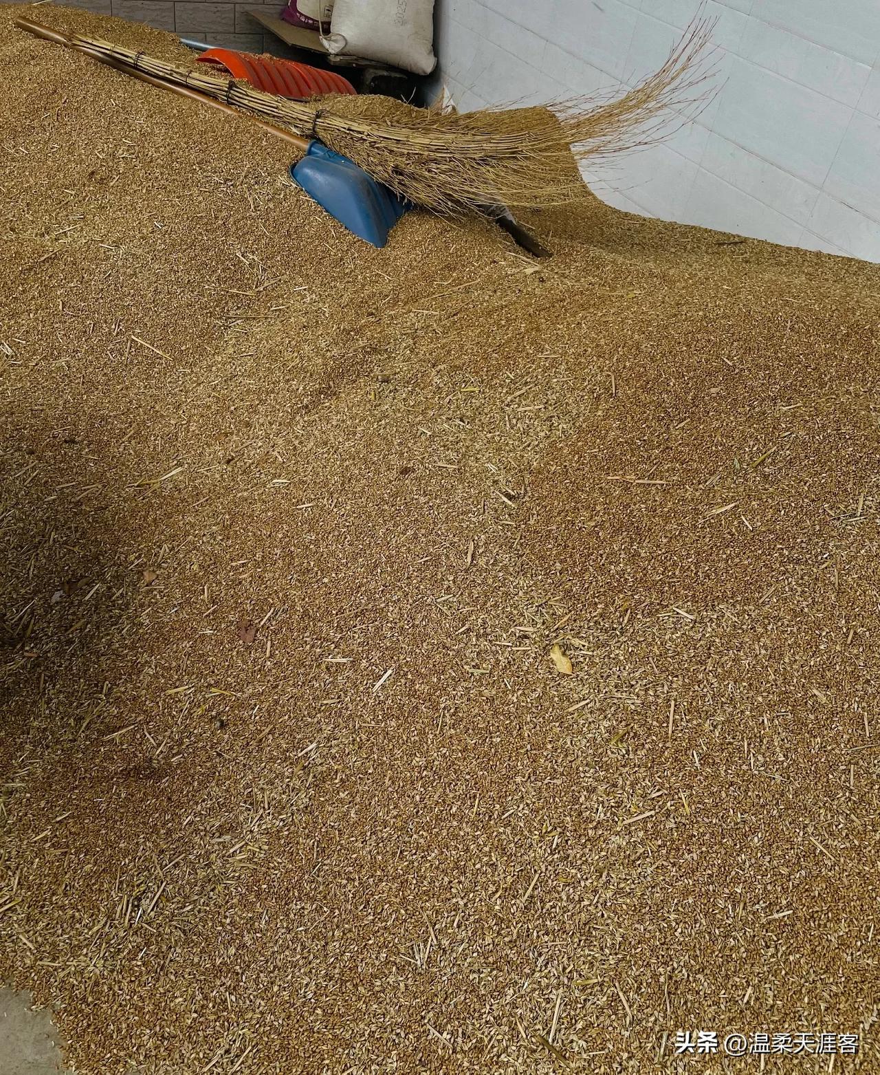 弟兄们等

等哥拿麦换了钱

哼

我带你们去吃雪糕

一下买两根

一根你吃一