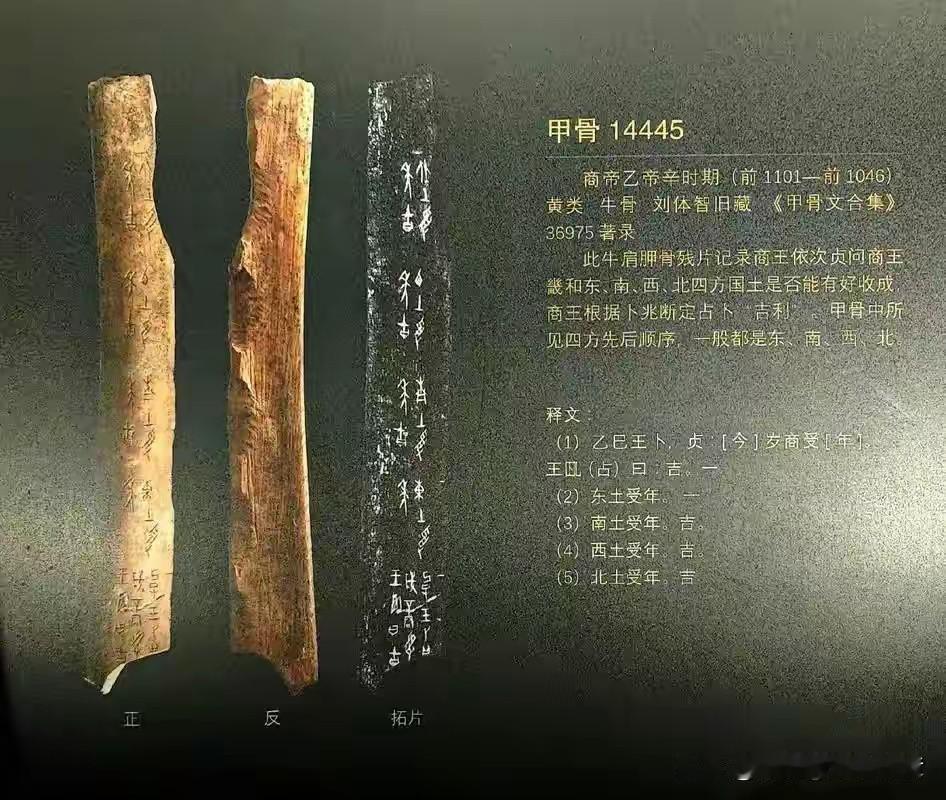公元前1046年，鹿台起了大火。一个浑身珠玉的男人站在火光里，心里念叨着一个字：