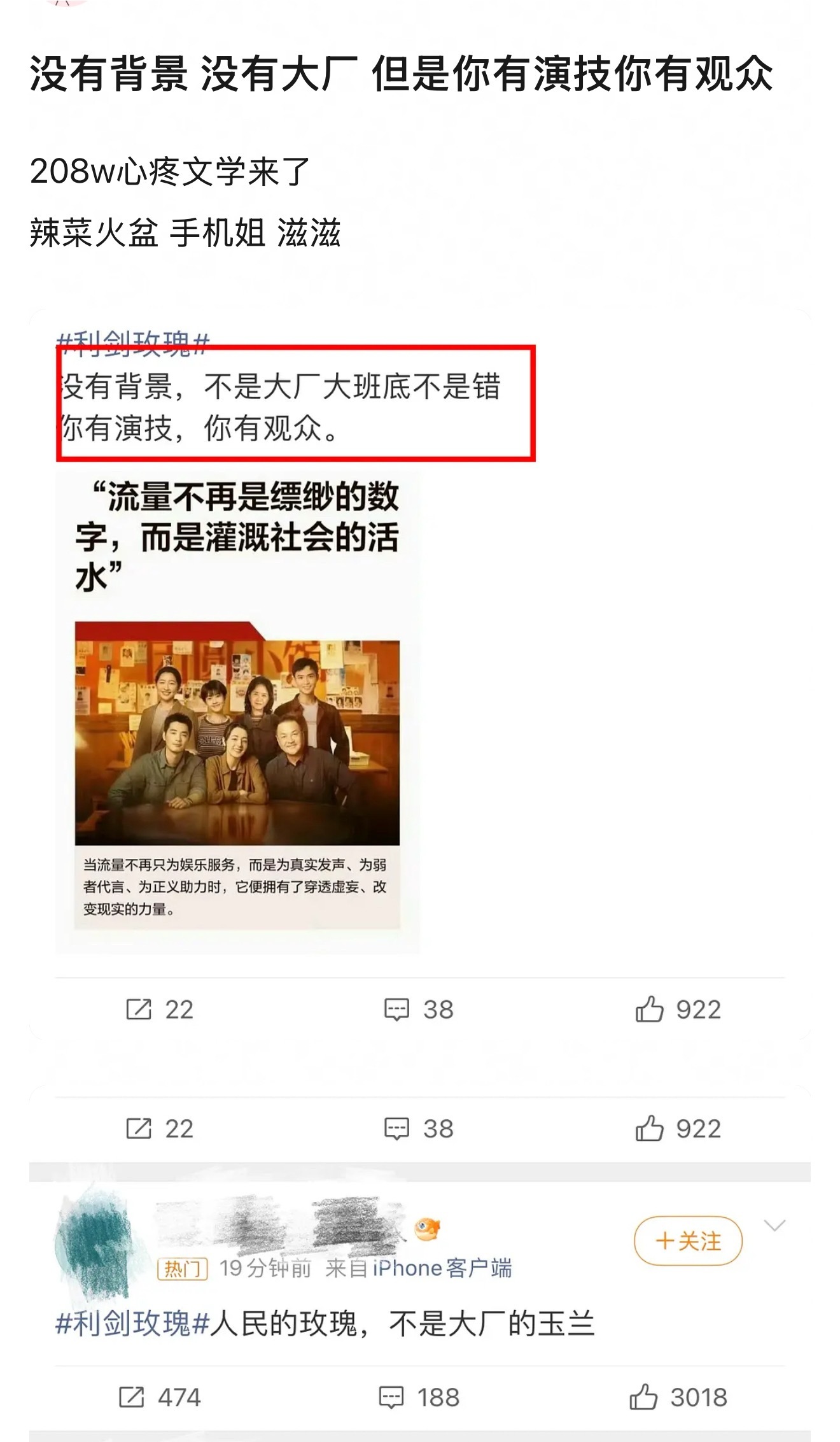 迪丽热巴粉丝说《利剑玫瑰》没有拿到白玉兰提名的原因：有演技有观众，但是没有背景不