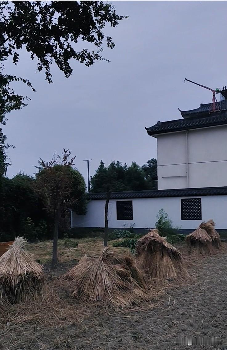 白露时节，到乡间小路上走走逛逛。
昨日恰逢白露，吃过晚饭，去屋后的乡间小路上散步
