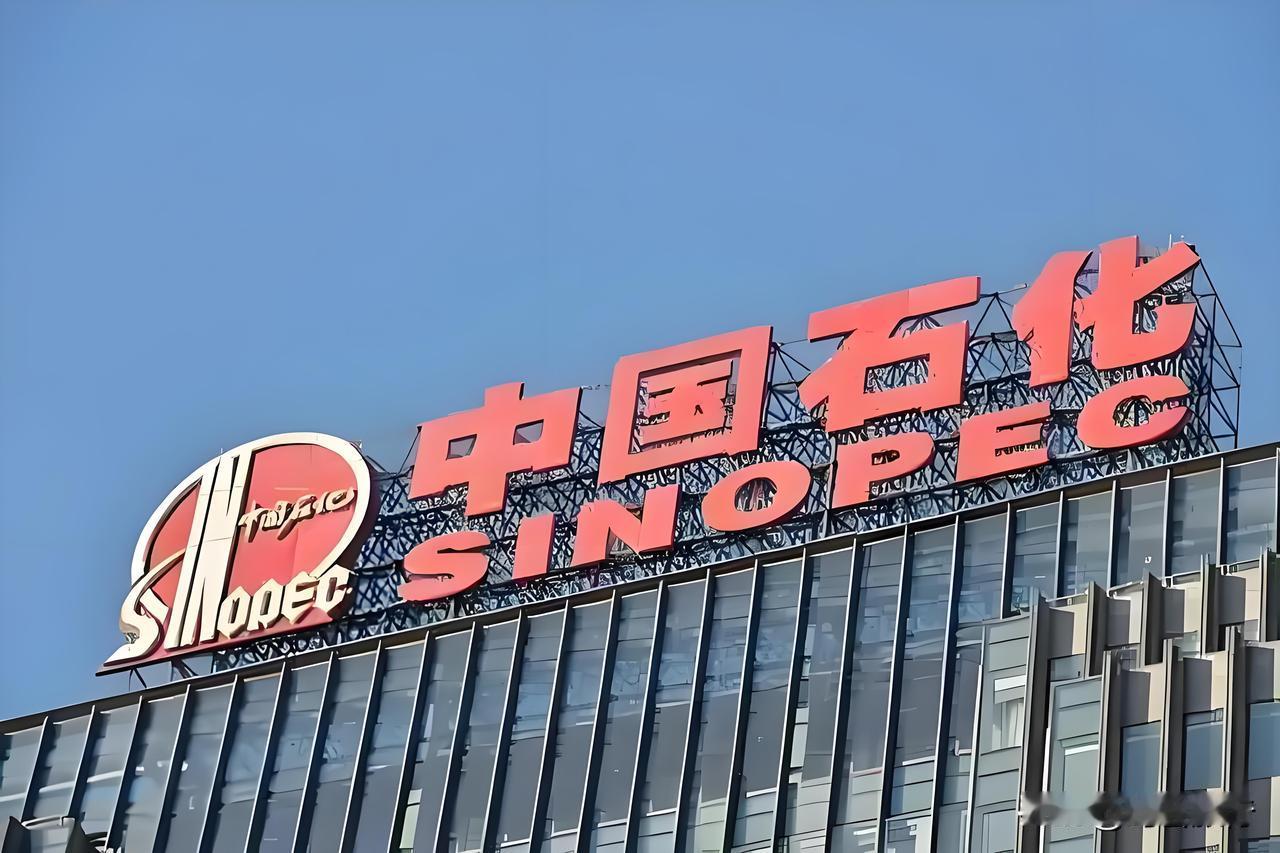 最近一提到中石化，好多人张口就来：“人家2025年可亏惨了！化工就是最大的拖油瓶