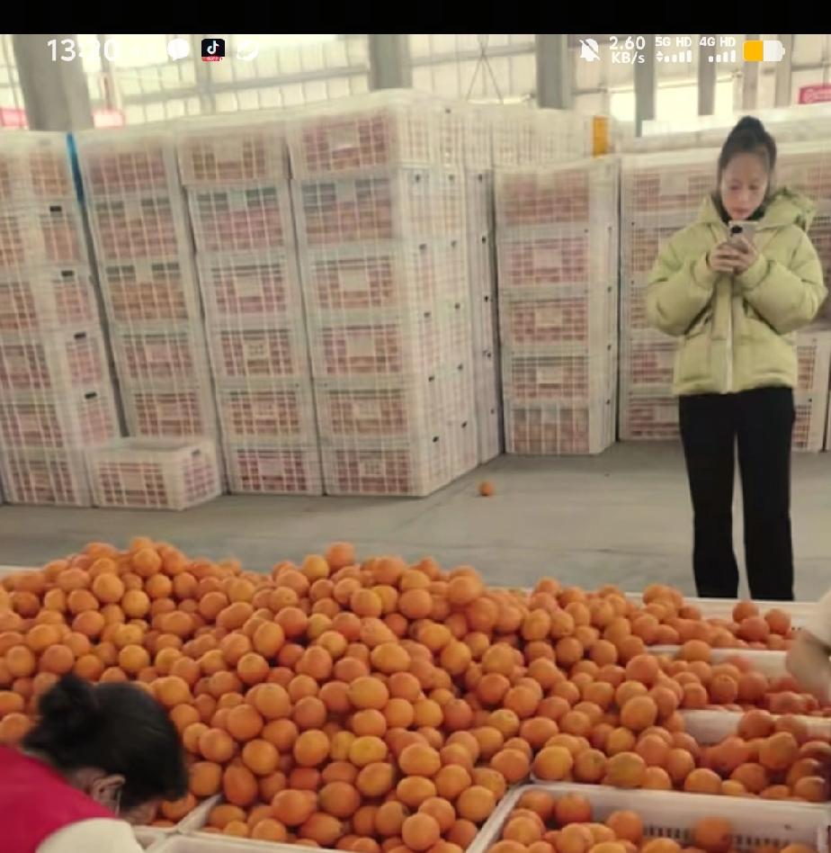 梁志辉姐姐和妹妹昨天卖了多少橙子，看看打包的仓库就知道了，这姐妹俩够拼的，更多的