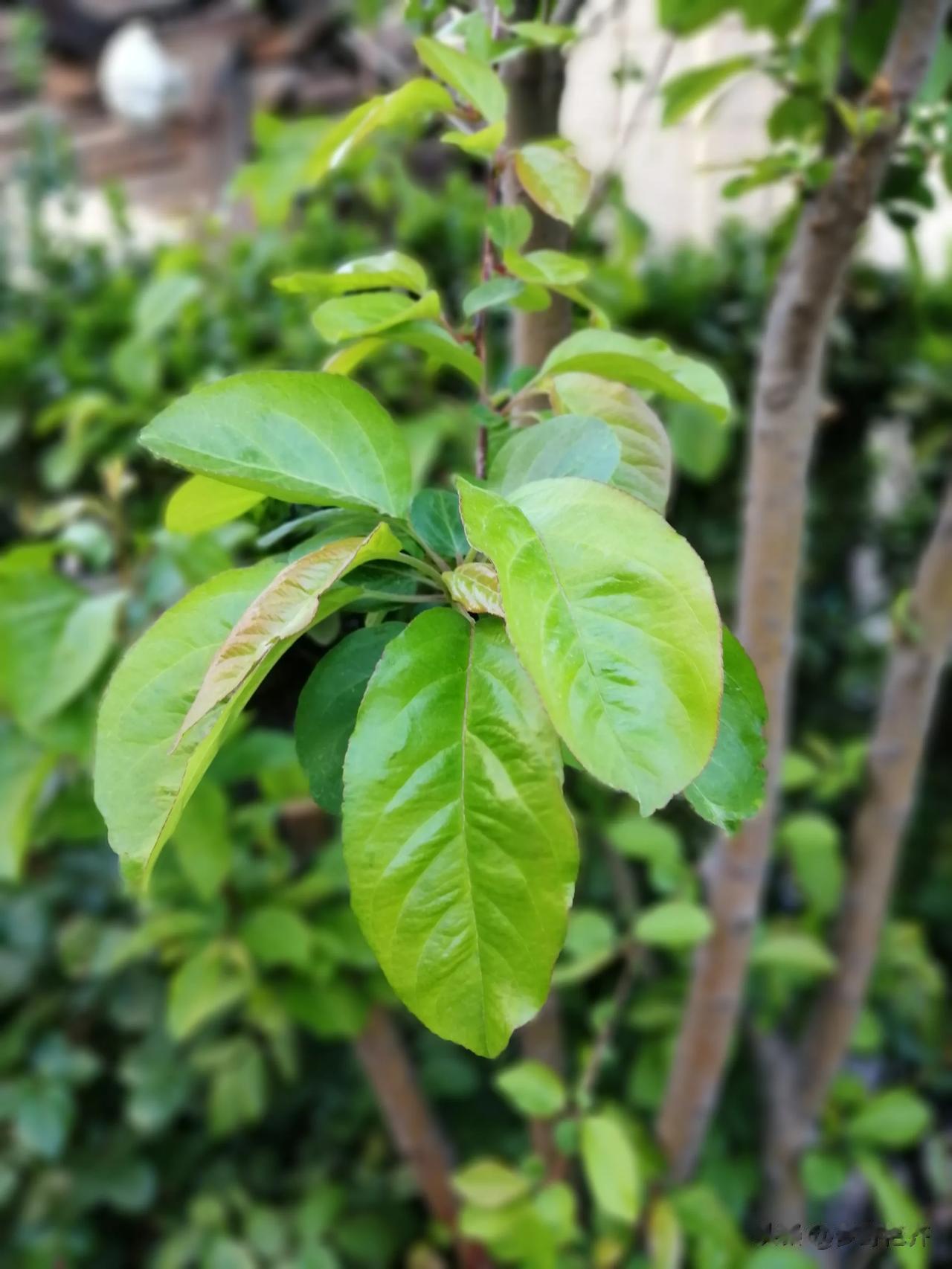 #今日立冬#这是个好日子。

冬天来了，春天，还会远吗？

是的，冬天让我们感到