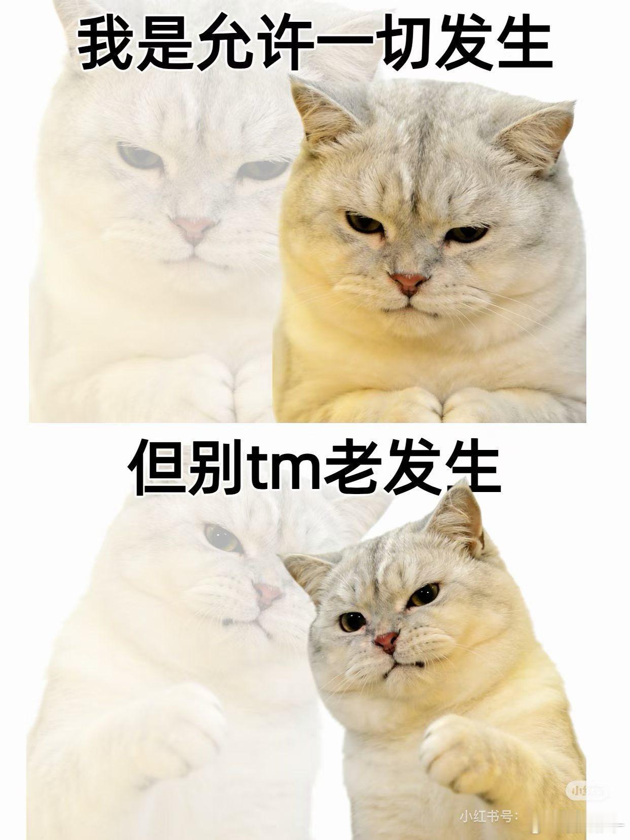 以为老天爷睁一只眼闭一只眼是打算放过我没想到是架狙打工人精神状态﻿