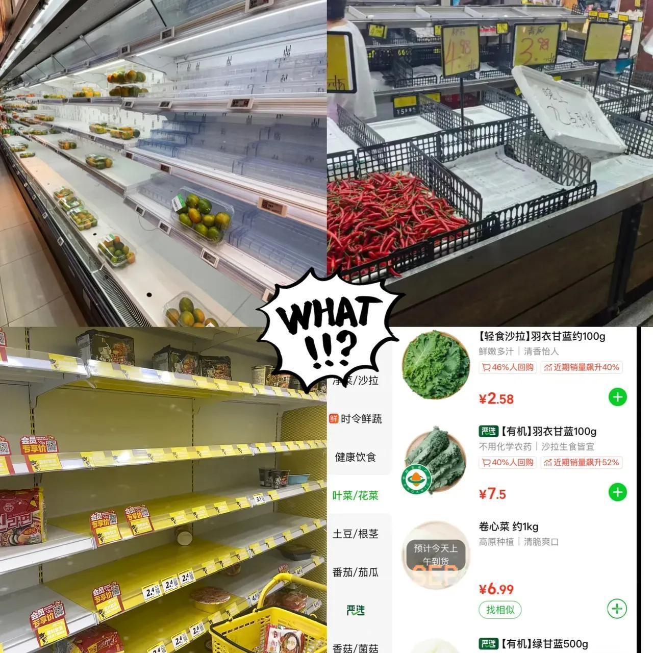 台风“桦加沙”一来，
全中国都看清广东人的“饮食底线”了！

各大商超被抢得货架