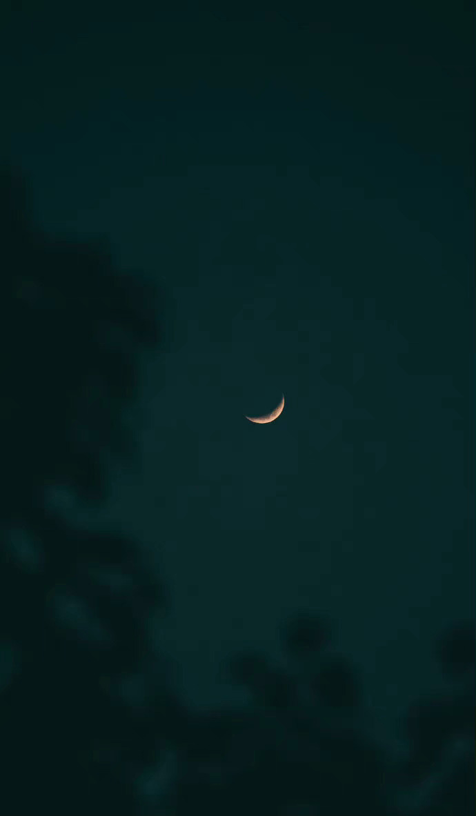我们好像在池塘的水底，从一个月亮走向另一个月亮。——王小波