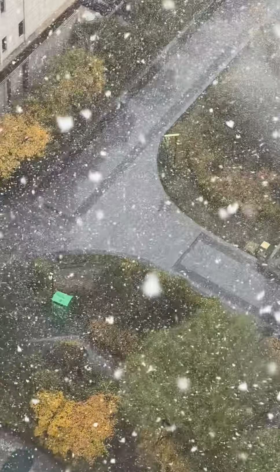山西大同迎来大雪，市民称“跟鹅毛一样”，当地气象台连发道路结冰、寒潮双预警