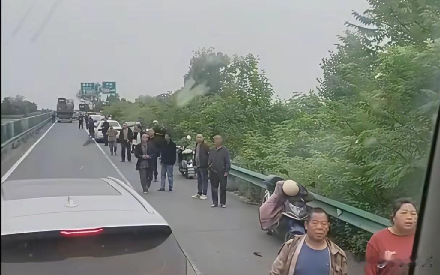 变相的讹诈行为，河南夫妻泪洒湖北襄阳

大妈凭一己之力让全国人都知道了，湖北襄阳