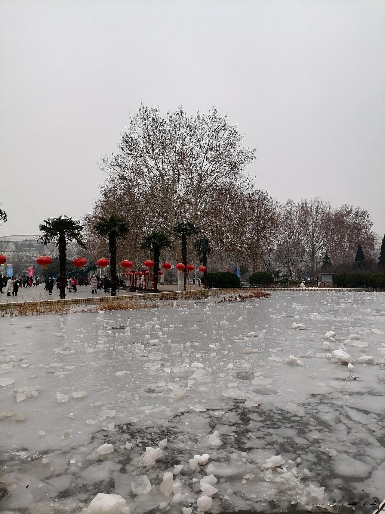 生活趣事分享俗话说冰冻三尺非一日之寒，看看眼前的这个水面是否冻的已经非常坚硬了！