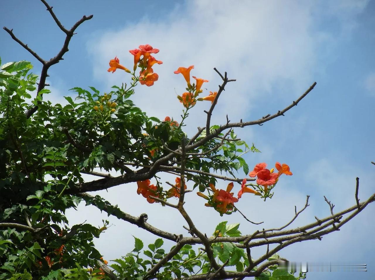 翻译成如今通俗易懂的话，意思就是“一招鲜，吃遍天”，太形象啦！[捂脸] 

梅尧