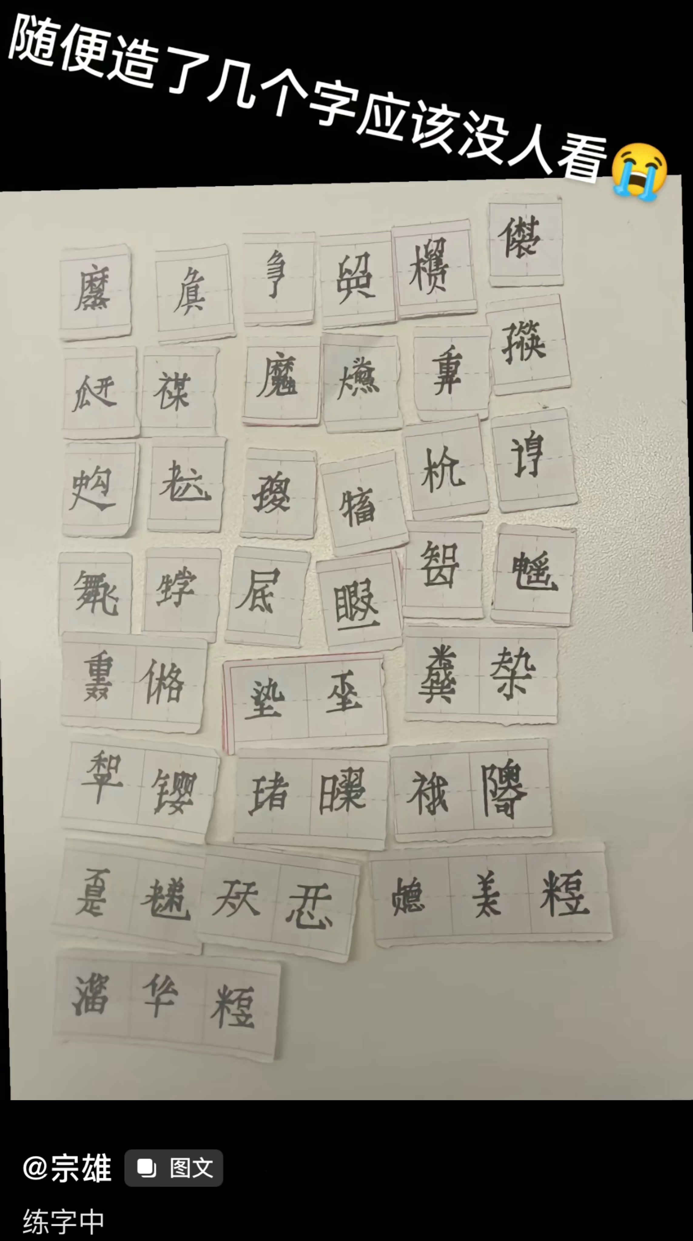 起猛了，看到当代仓颉了[doge]#v笑年度大赏# ​​​