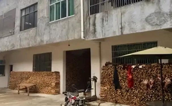 专家下乡突查农户柴火堆！烧两根木头竟要坐牢？村民怒吼：祖祖辈辈都这么活！  
 