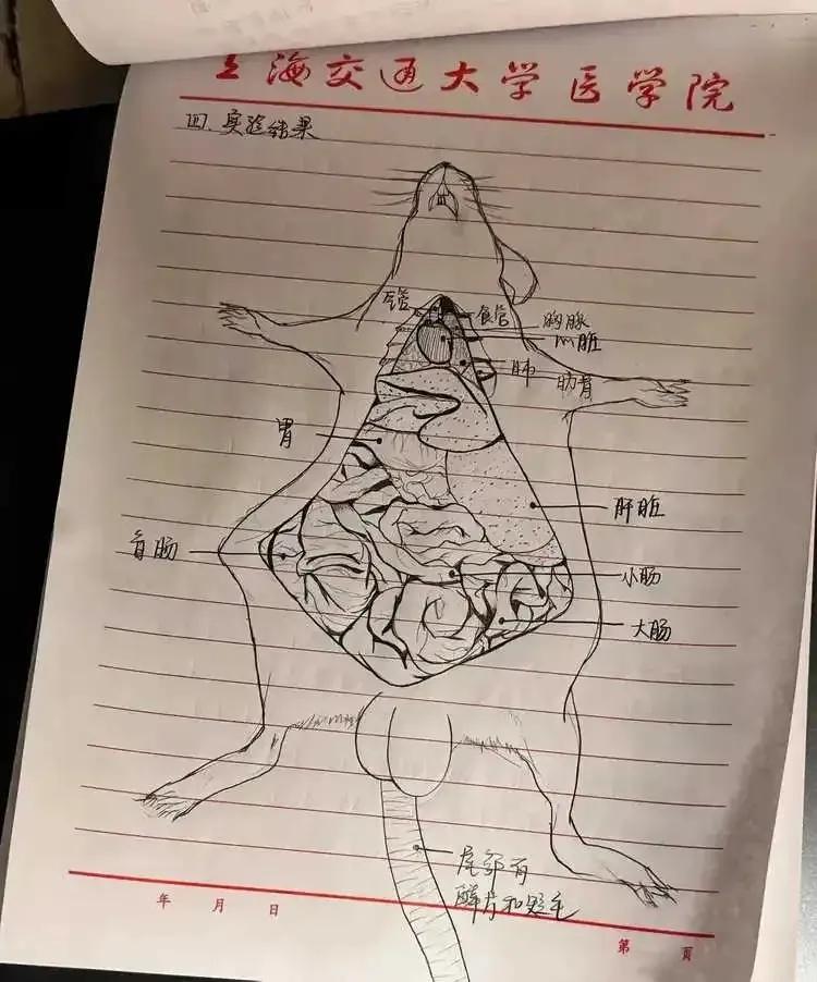 谁敢吃这个，把我兄弟女儿嫁给他