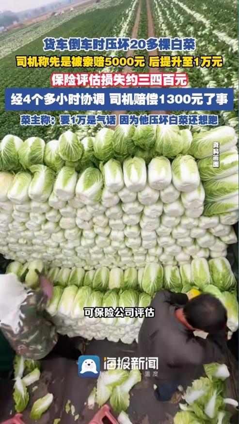 辽宁辽阳的葛师傅开着18米长的半挂车，跑了160多公里去村里送货，卸完货想掉头，
