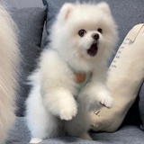 忆敏爱品科技