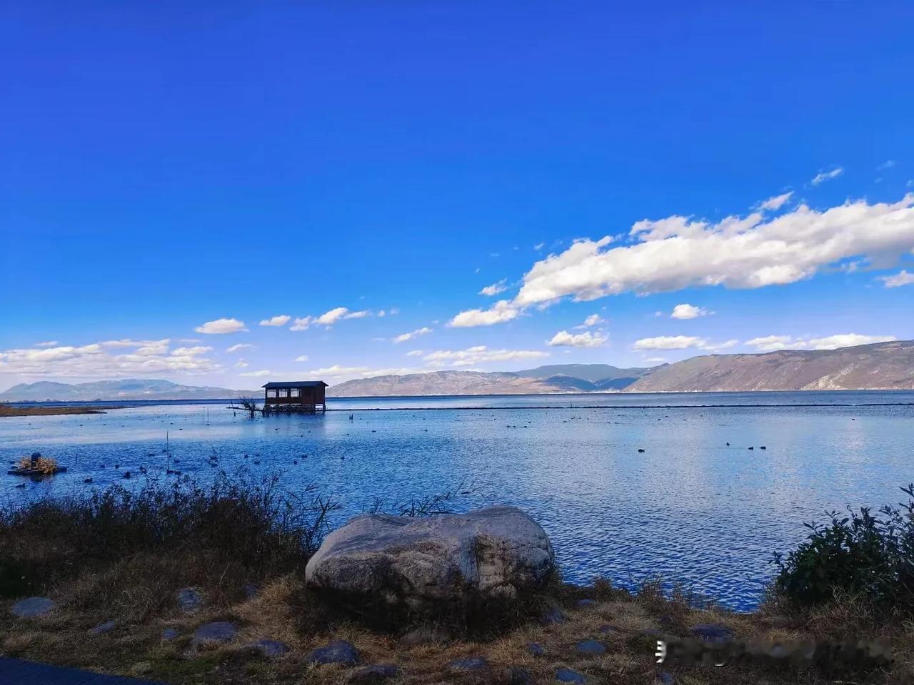 冬日生活打卡季蓝蓝的天空，绿油油的水