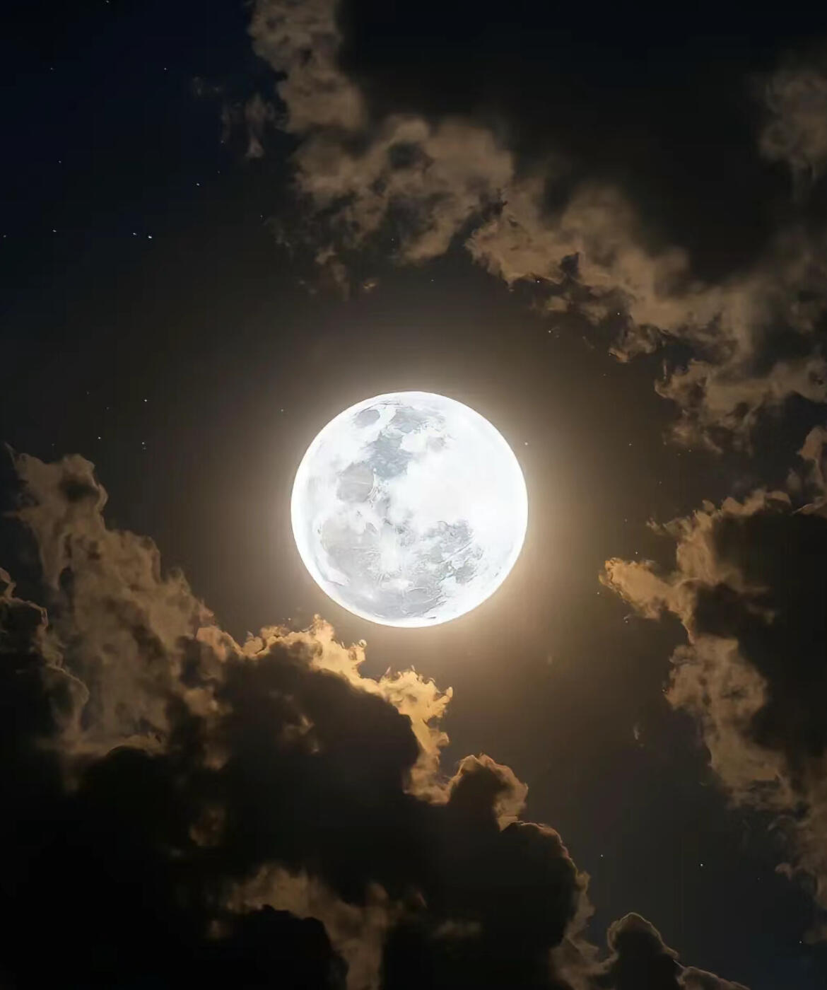 宝宝们中秋快乐呀🌕今年发过红稿的宝宝们会一直一直爆下去～ ​​​