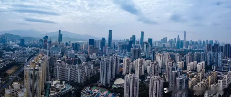 深圳房产市场是分层的。刚需盘靠性价比走量，顶豪靠稀缺性吸金，核心区高端新盘靠产品