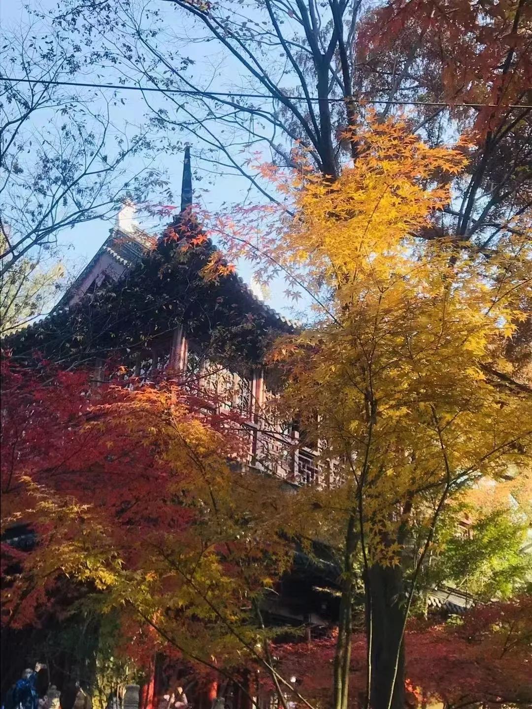 今天大雪节气，我们实在忍不住日日在家的冷冰冰，下定决心开了暖气。当年羡慕人家住别