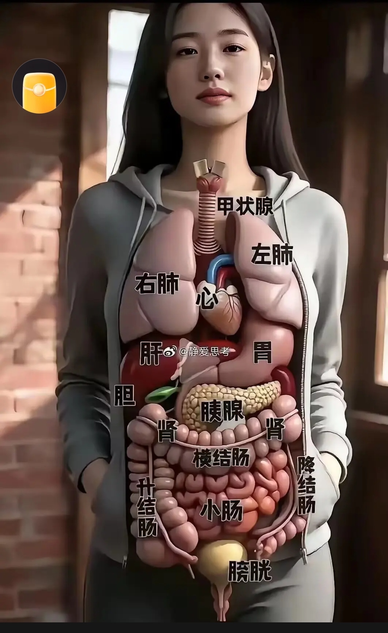 脱就脱