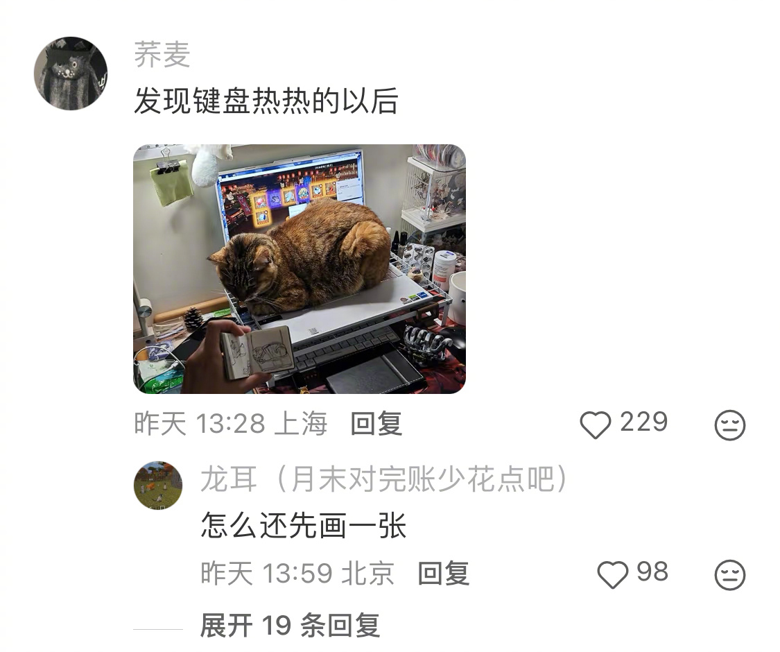 当一只猫发现鼠标垫会加热后 