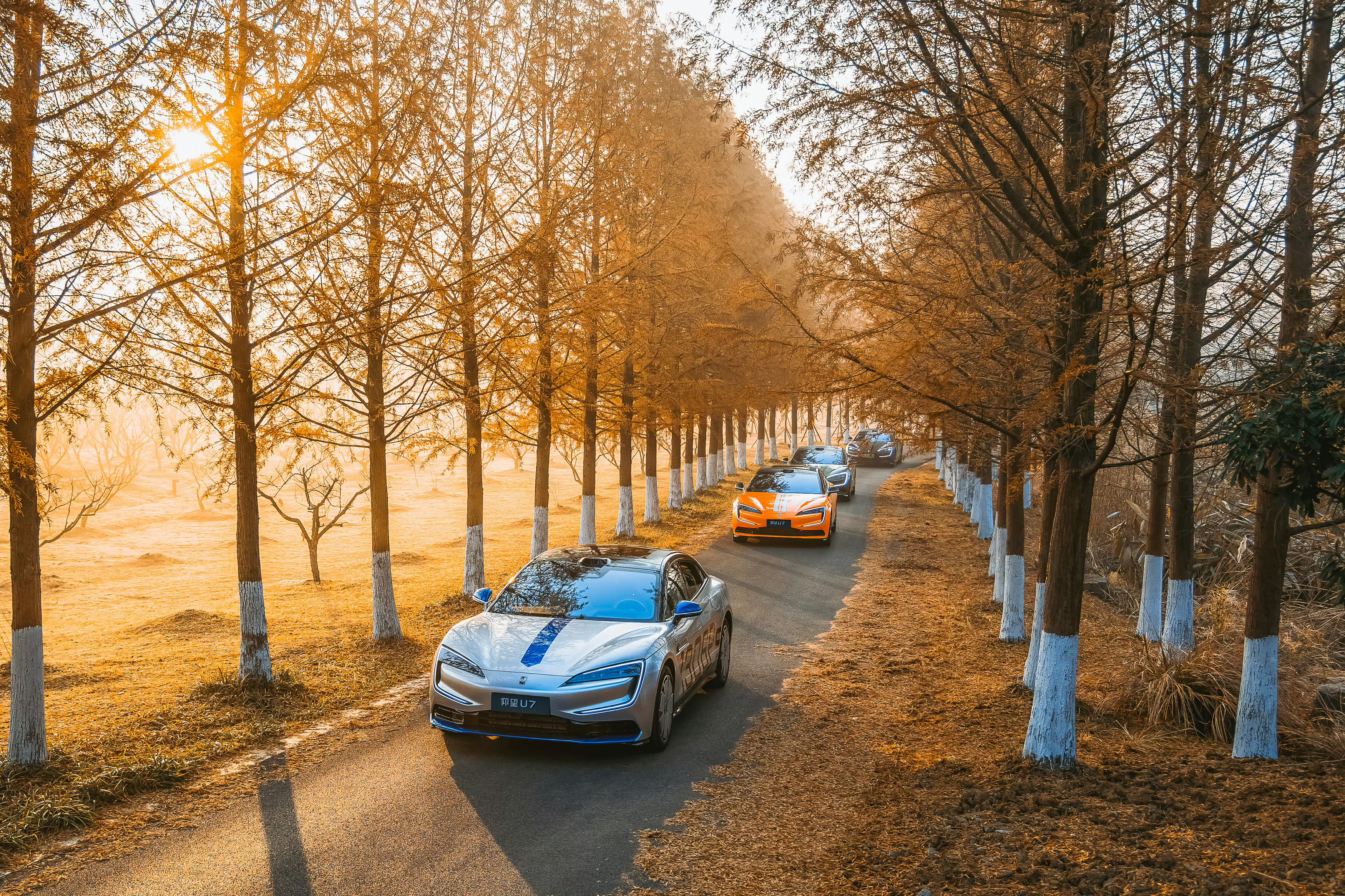 仰望U7真的好看，前几天路过一个路口，就刚好看到，真车颜值杠杠的。 