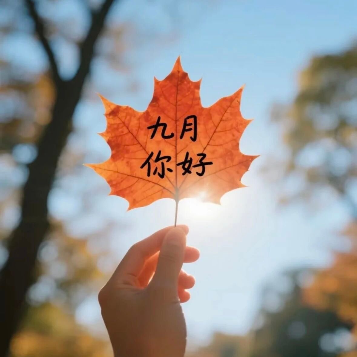 请善待我这个富婆苗子呀！搓搓小手🙌🏻 ⁺⁹⁹⁹，迎接9月的好运啦 ! ​​​