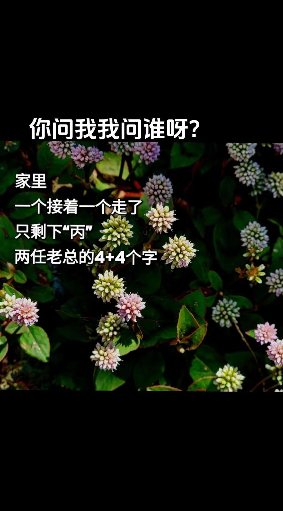 老家。老家 农村