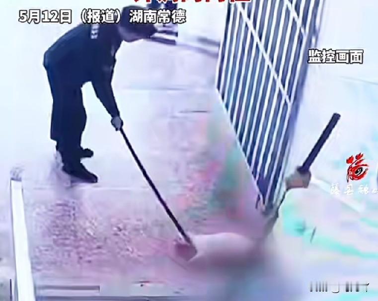 我是一个特别喜欢猫的人，看了湖南常德市汉寿县第一中学两名保安打死流浪猫的事件，真