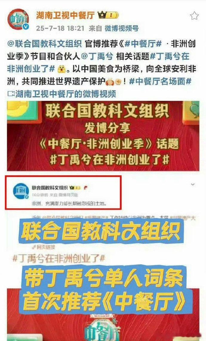 为传播中华文化的他们加油点赞 联合国教科文组织推荐丁禹兮话题 中餐厅丁禹兮非洲创