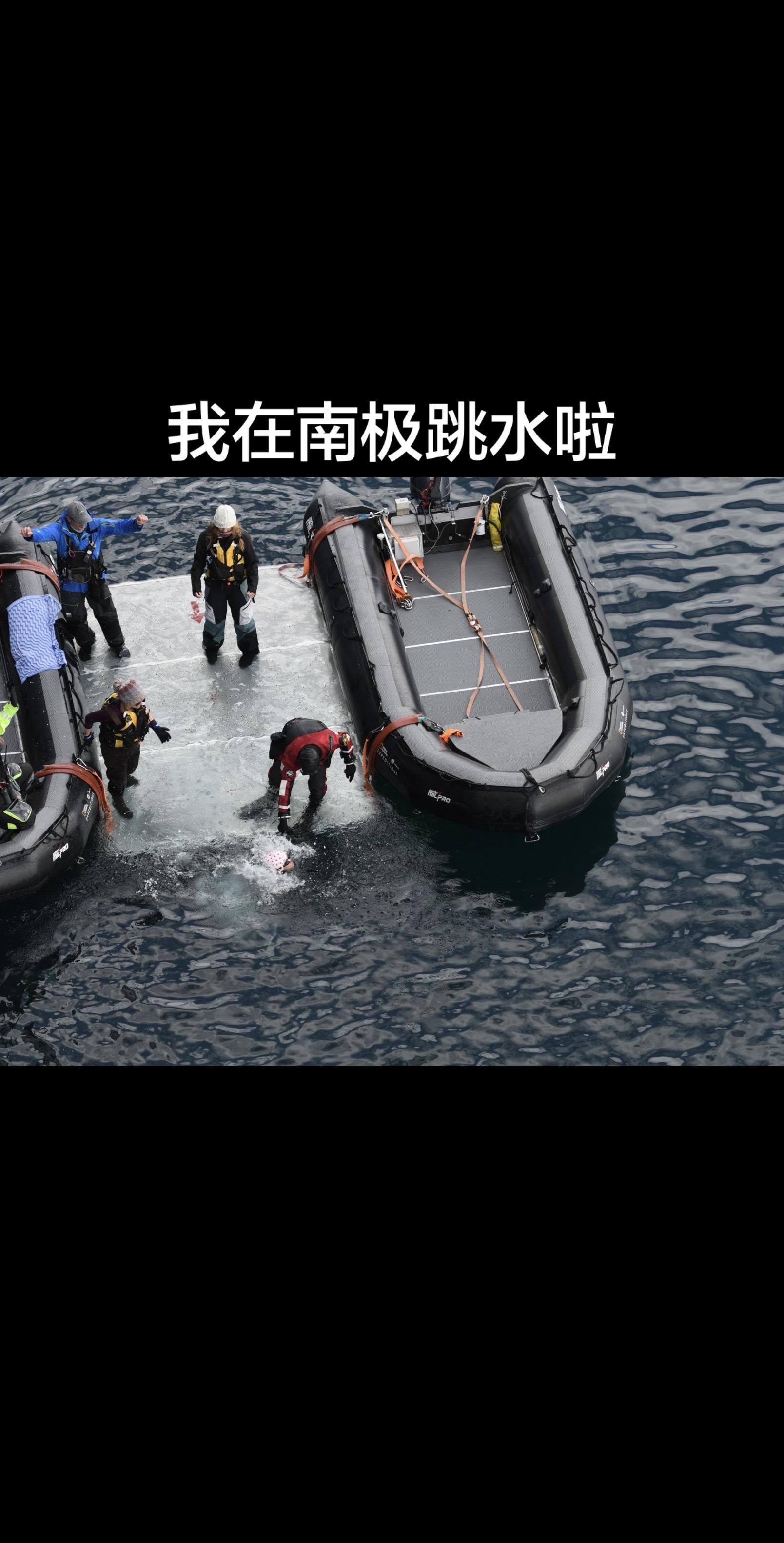 我在南极跳水啦！ 🇦🇶Polar Plunge!  在南极跳水，水...