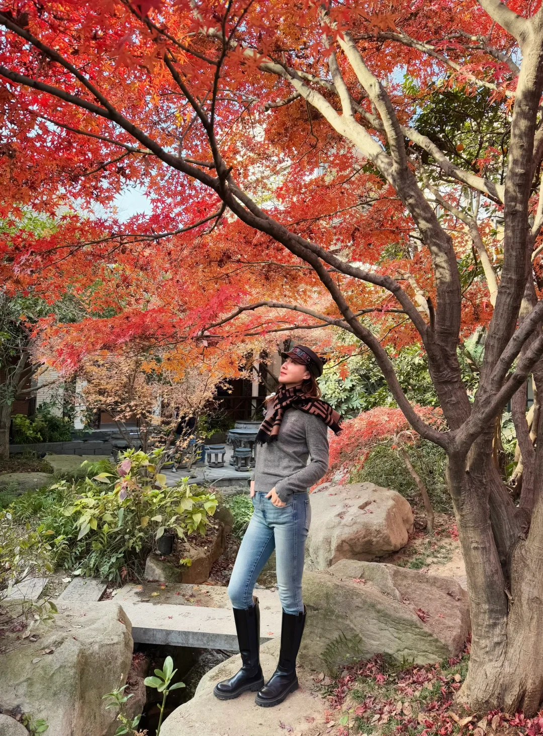 武汉近郊赏红叶🍁、银杏，人少景美