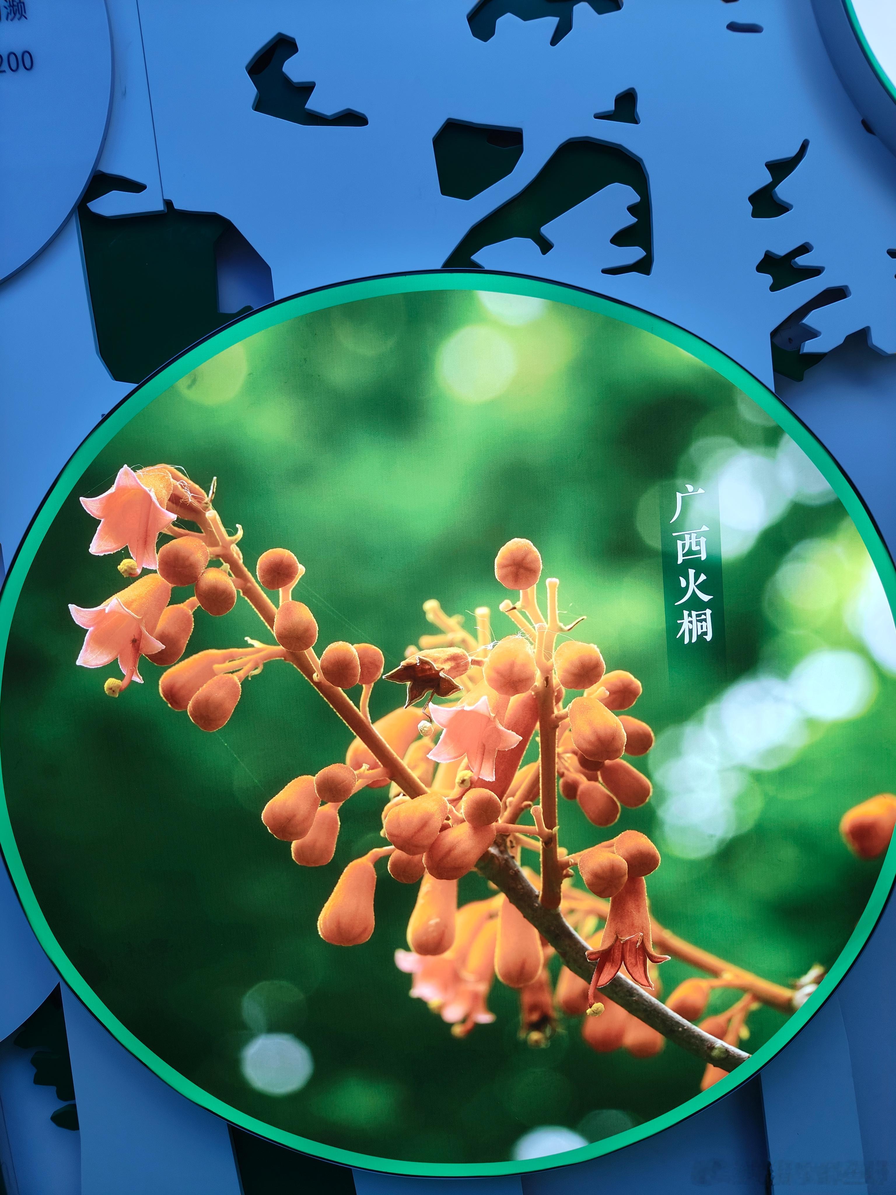 每日一善[超话] [太阳]每日一善 人生至境，积淀为上，在各种纷杂的世事中，锤炼