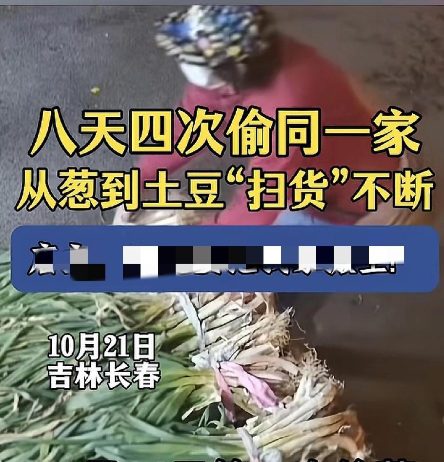“太丢人了！”这事儿发生在吉林，一大姨八天在同一家菜店干了四票，店主气得够呛，选