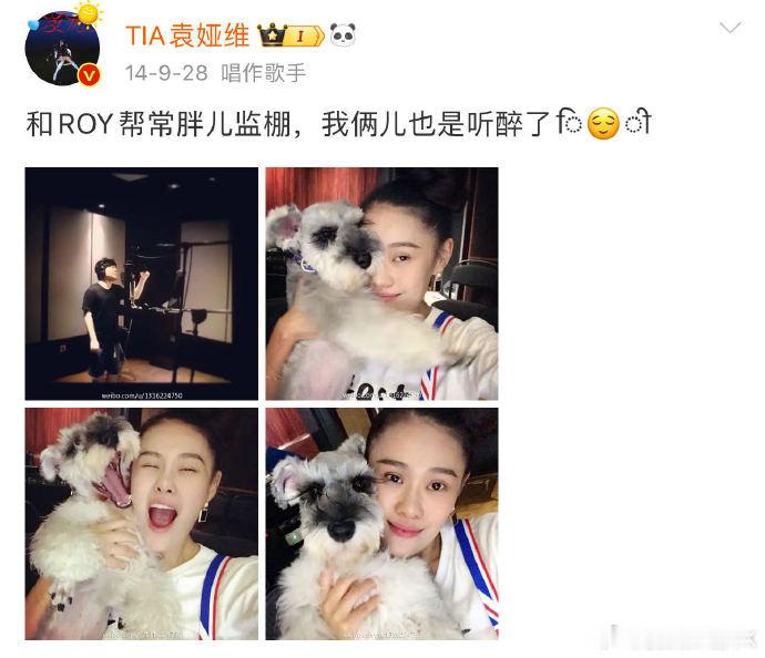 微博之夜姐妹局聊天局袁娅维表示自己的狗roy见到的明星比她还多，羡慕一只狗了！t