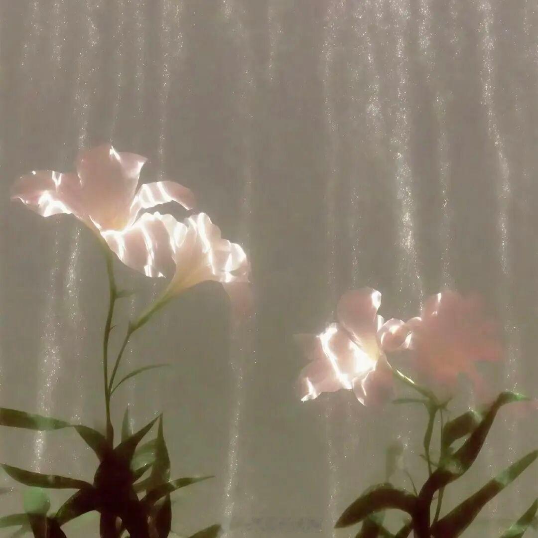 他们近到只是一背身的距离。却远到哪怕向他靠近一点也不可以。——明开夜合《此处风雪