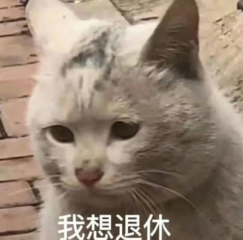 双休我是双休，可我休的时候在家还要处理各种工作，这又怎么算呢？什么时候才能有一个