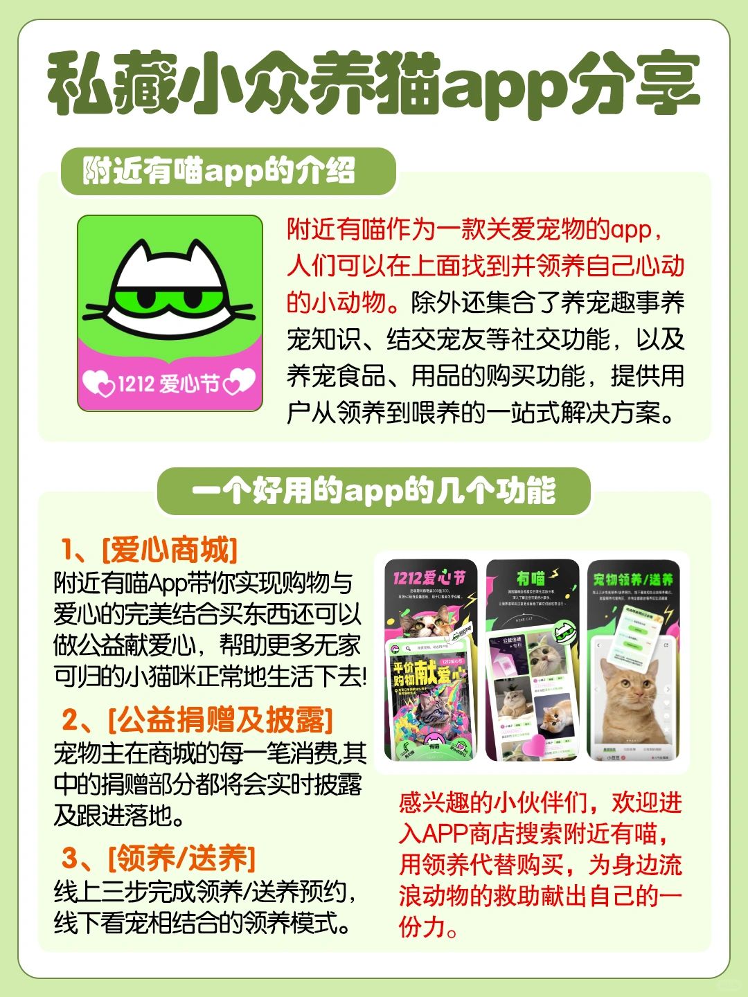 满300捐50，平价购物让流浪猫顺利过冬！