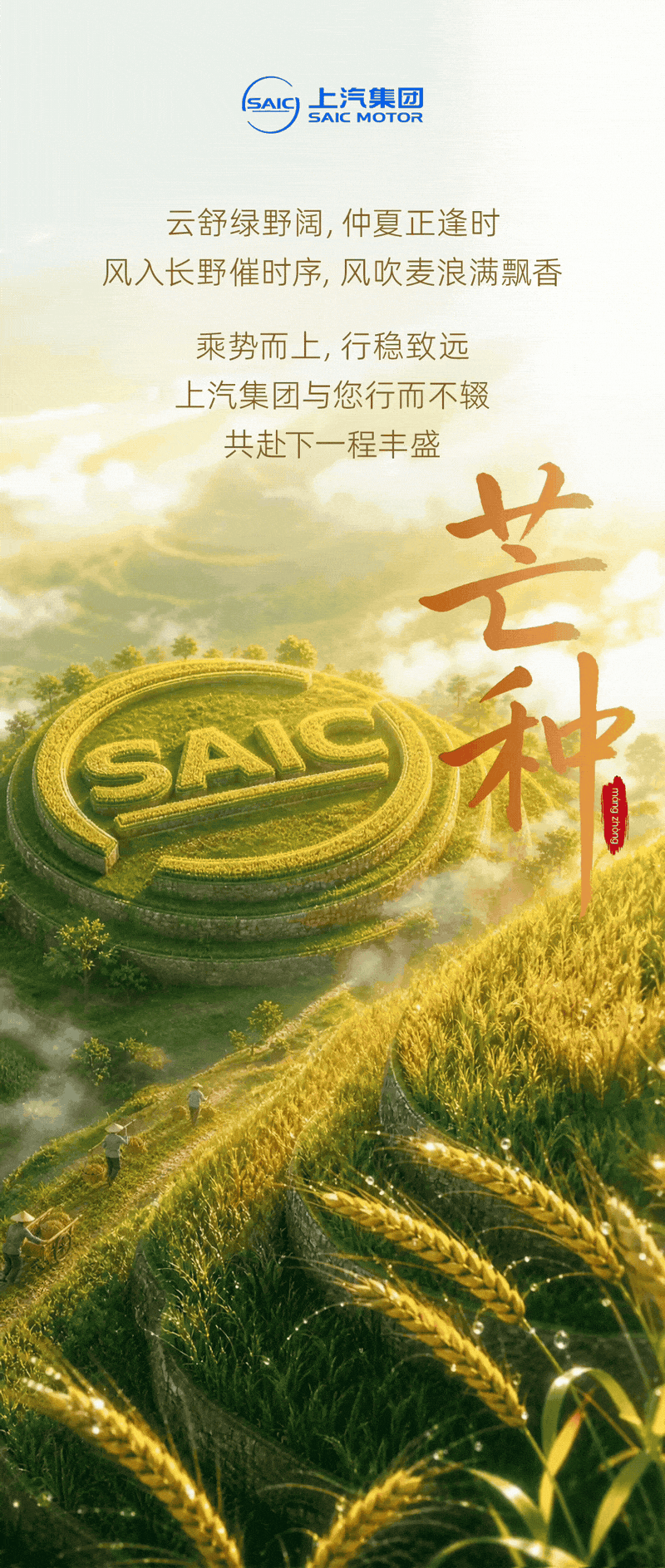 芒种｜乘势而上，行稳致远

云舒绿野阔，仲夏正逢时
风入长野催时序，风吹麦浪满飘