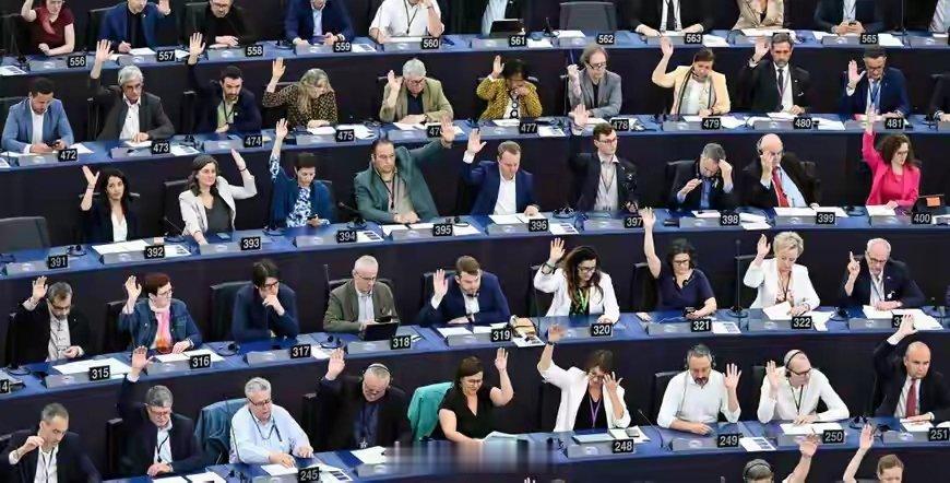 1月22日，欧洲议会在法国斯特拉斯堡的举行一场特殊会议，以503票赞成、9票反对