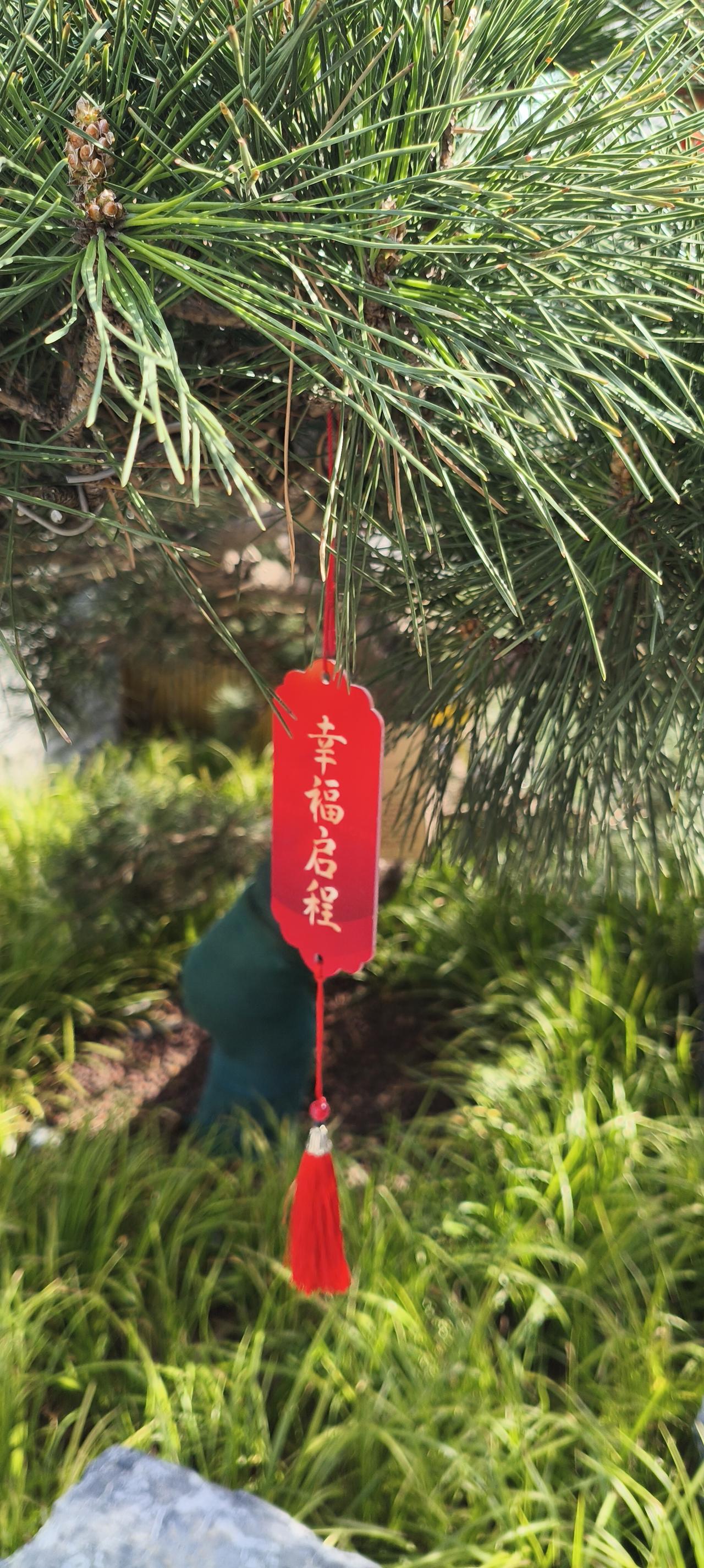 同一个地球，这边春暖花开，草长莺飞，那边炮火连天，硝烟弥漫。。。。