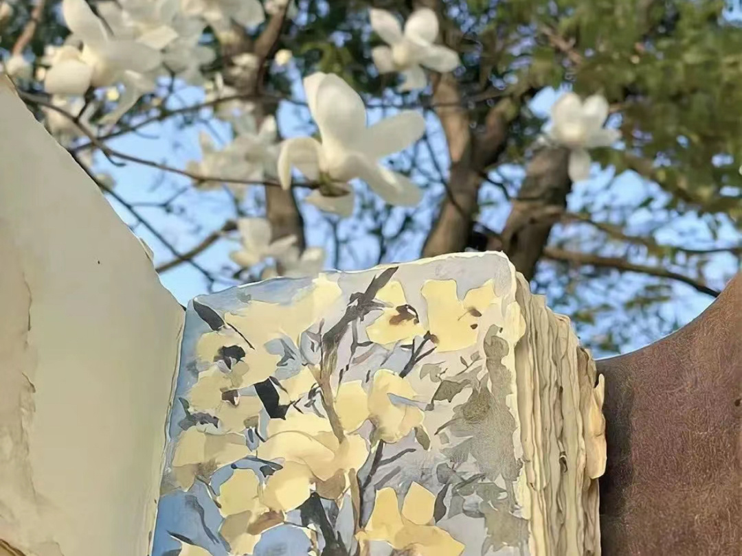 海上种不了花 爱意发不了芽. ​​​