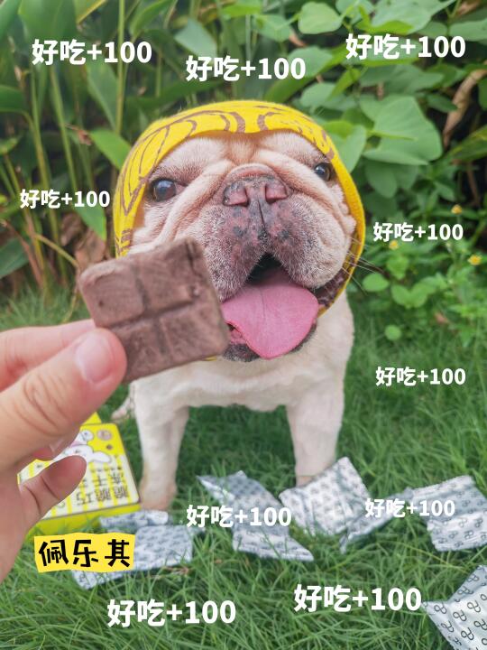 🐕疯狂暗示！这酥到掉渣的冻干快囤🔥