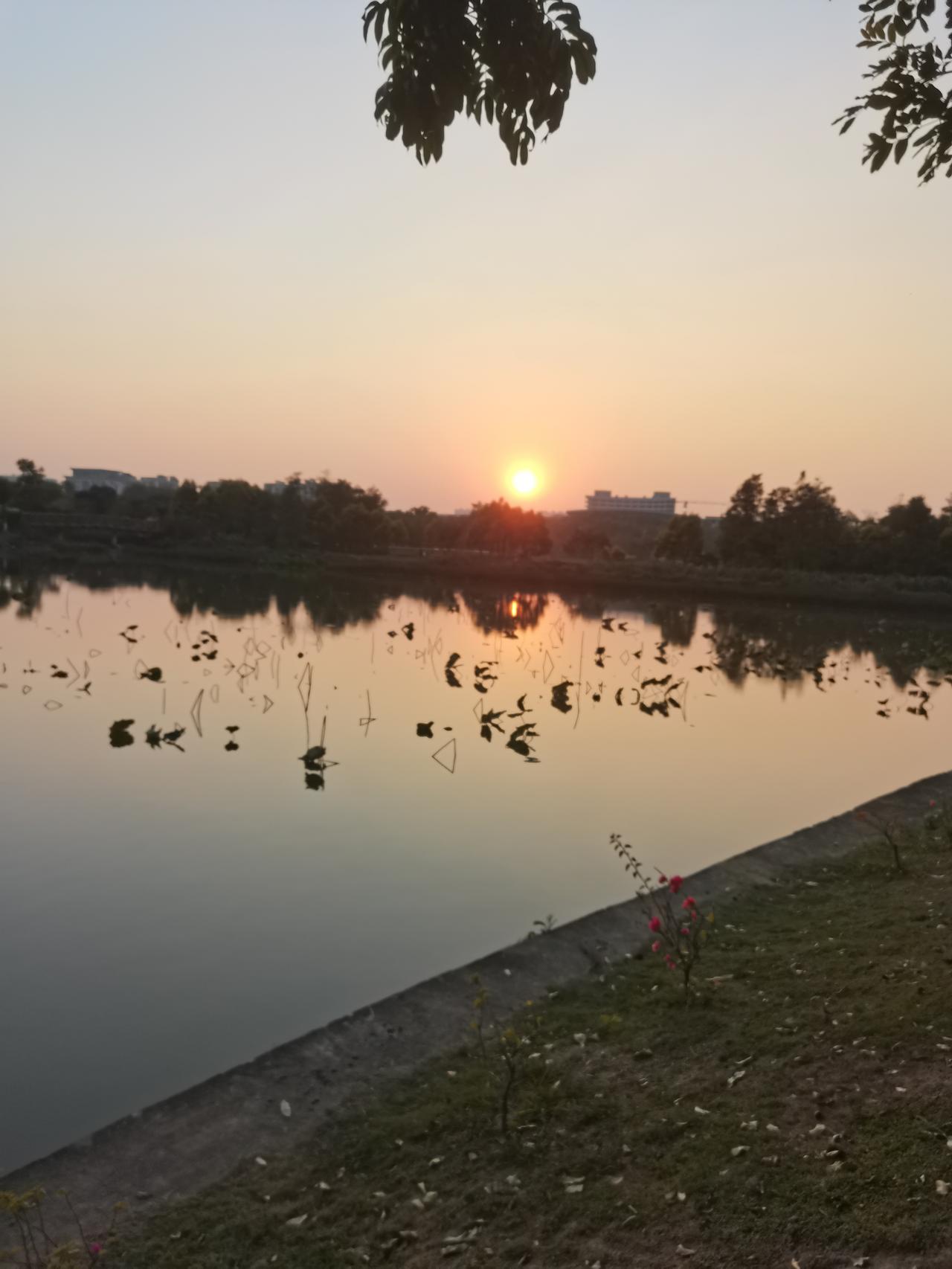 就是因为他们疯狂的内卷，谁也救不了他们，能救他们的也只有他们自己。
他们以为把电