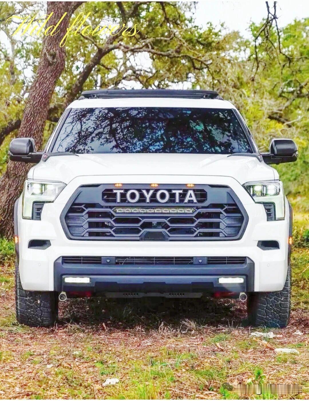 丰田——红杉（Sequoia）TRD Pro版（强派越野）